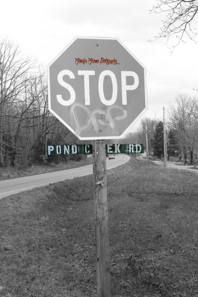 Pond Creek Road A Road of Many Memories My Genealogy Tracing